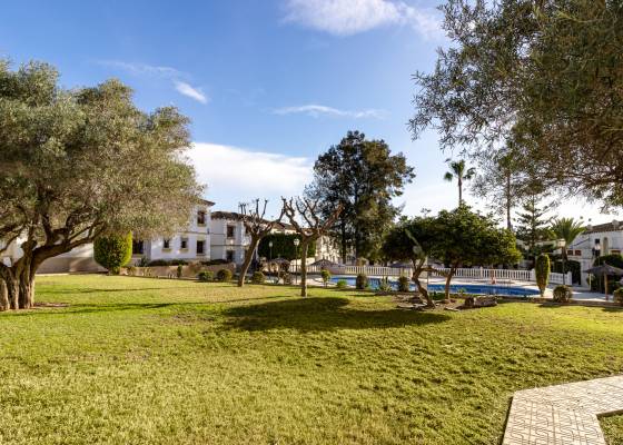2nd hand - Apartment - San Miguel de Salinas - Blue Lagoon