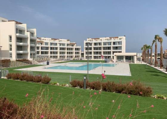 Ático - Nueva construcción  - Costa Blanca Sur - Orihuela Costa