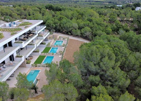 Ático - Nueva construcción  - Costa Blanca Sur - San Miguel de Salinas