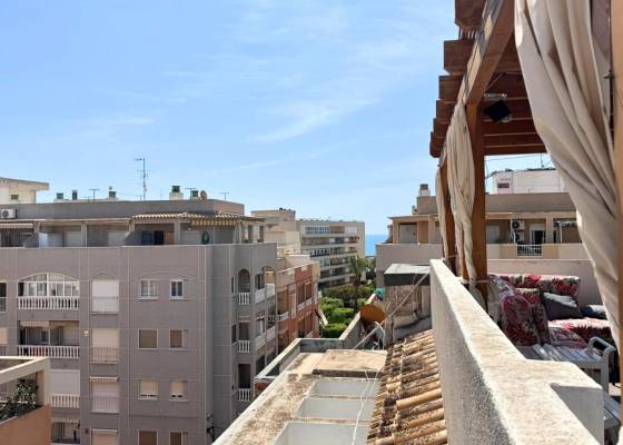 Daszek - 2. ręka - South Costa Blanca - Torrevieja