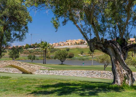 Nowa konstrukcja - miasto - Los Montesinos - Vistabella Golf