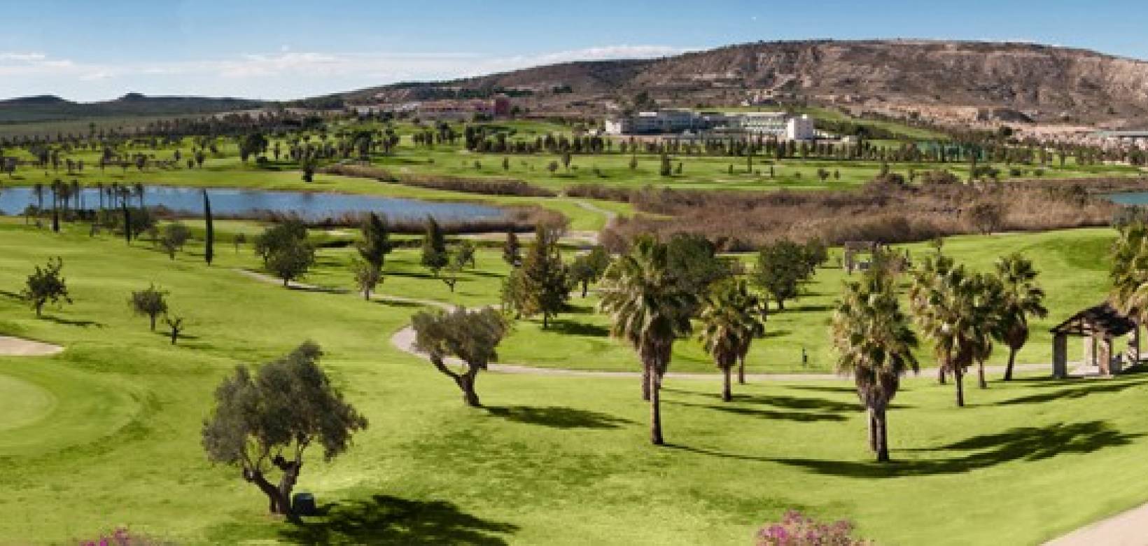 Nouvelle construction - Villa - Algorfa - La Finca Golf
