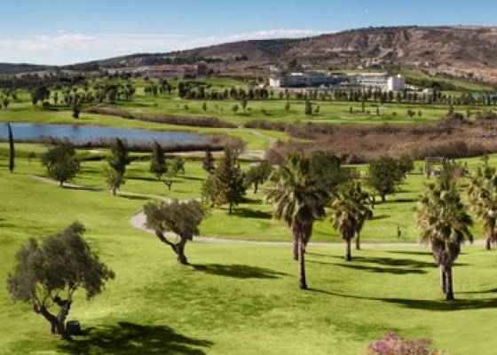 Nouvelle construction - Villa - Algorfa - La Finca Golf