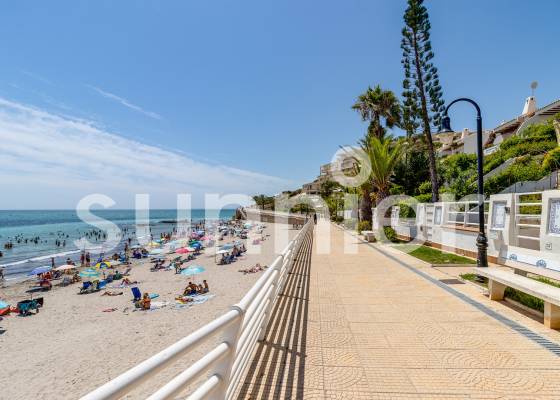 New Build - Bungalow - Orihuela Costa - Punta Prima
