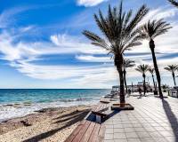Nybyggnad - Lägenheter - Torrevieja
