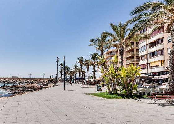 Nybyggnad - Lägenheter - Torrevieja