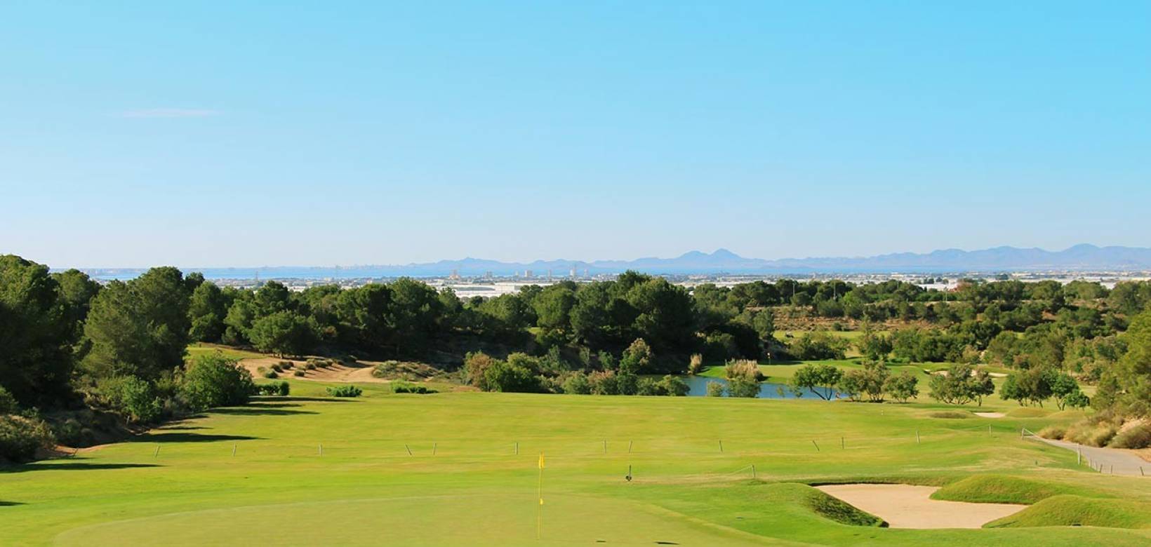 Nueva construcción  - Villa - Pilar de la Horadada