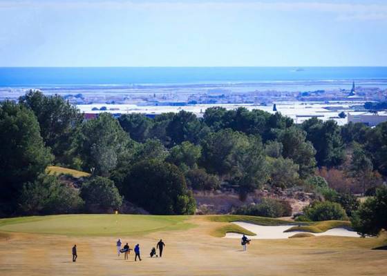 New Build - місто - Pilar de la Horadada - Lo Romero Golf