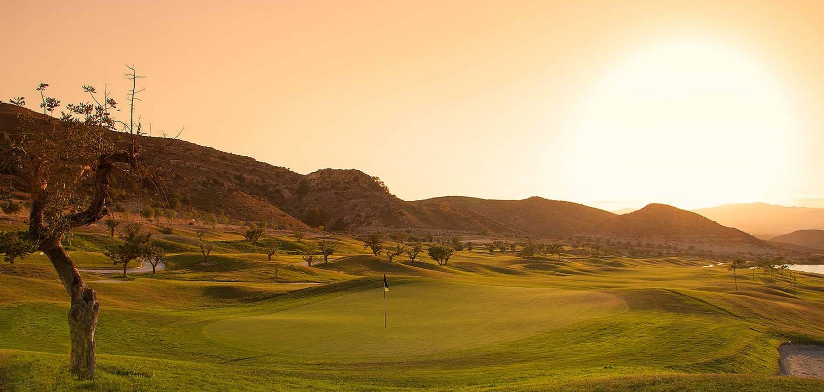 Nueva construcción  - Dúplex - Monforte del Cid - Font del Llop Golf