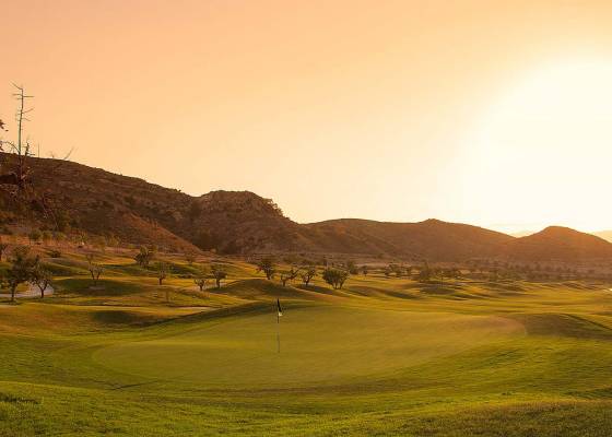 Nueva construcción  - Dúplex - Monforte del Cid - Font del Llop Golf