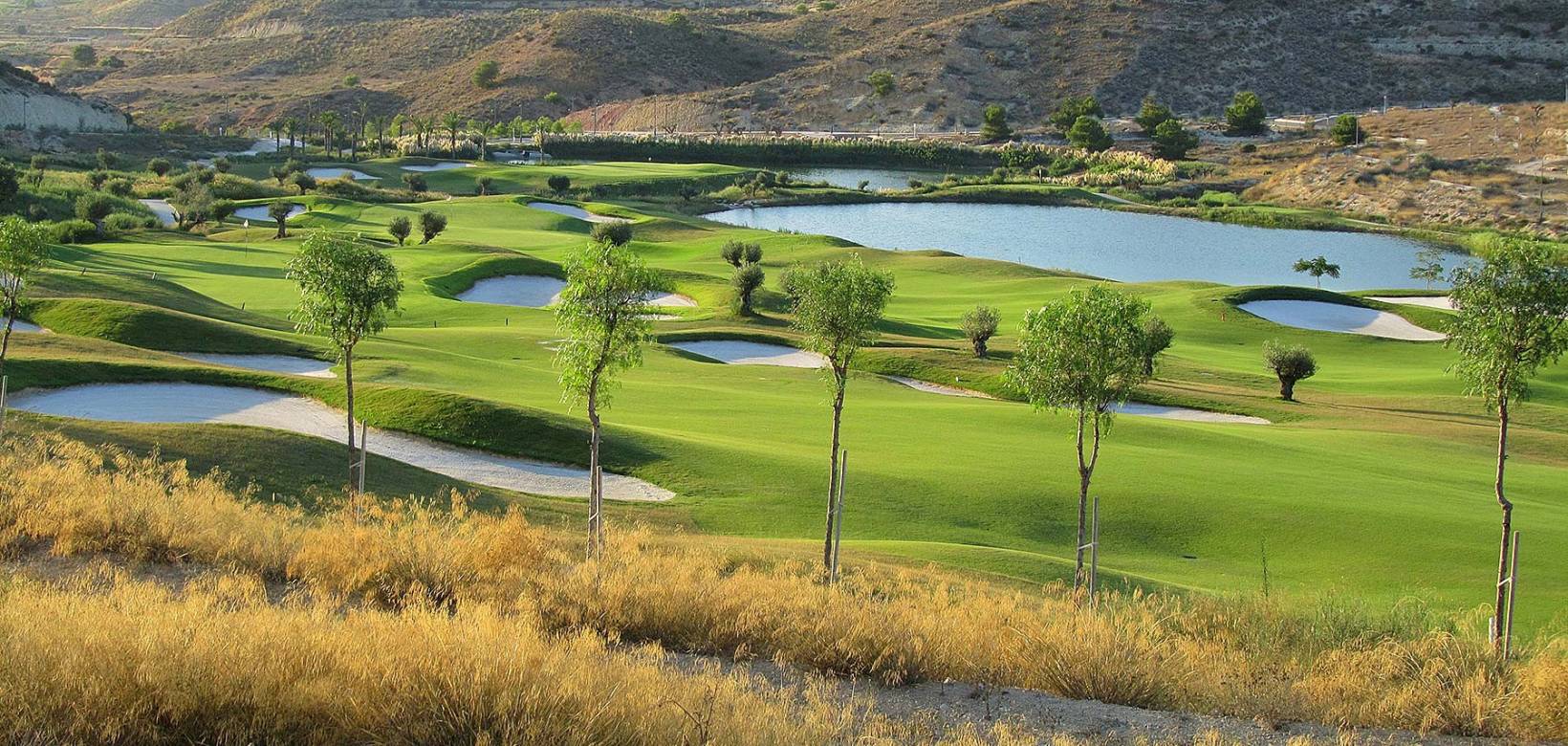 Nueva construcción  - Dúplex - Monforte del Cid - Font del Llop Golf
