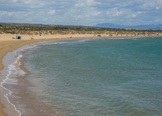 Nowa konstrukcja - miasto - La Marina - El Pinet
