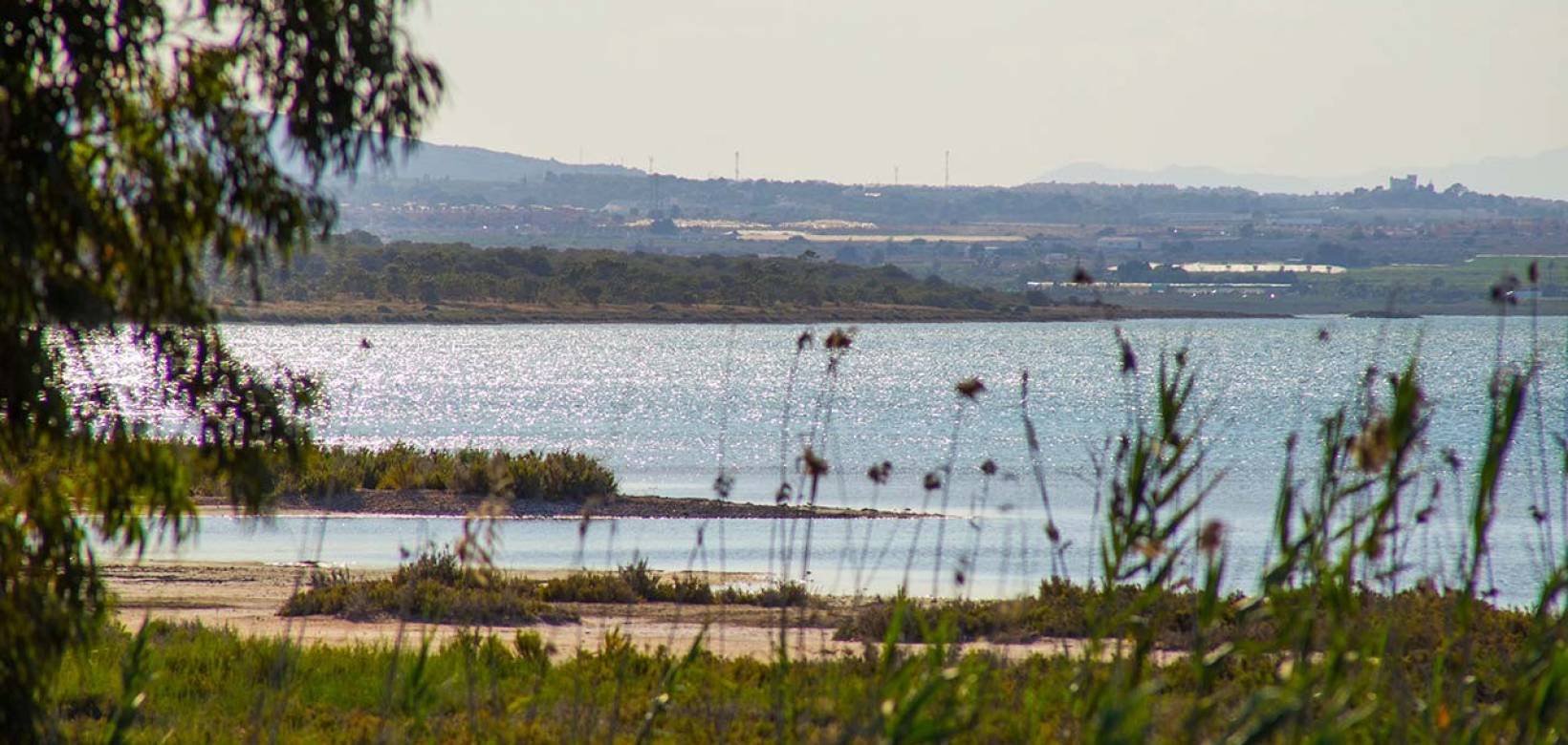Nowa konstrukcja - miasto - La Marina - El Pinet