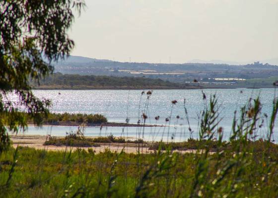 Nowa konstrukcja - miasto - La Marina - El Pinet