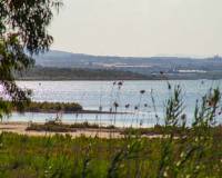 Nowa konstrukcja - miasto - La Marina - El Pinet