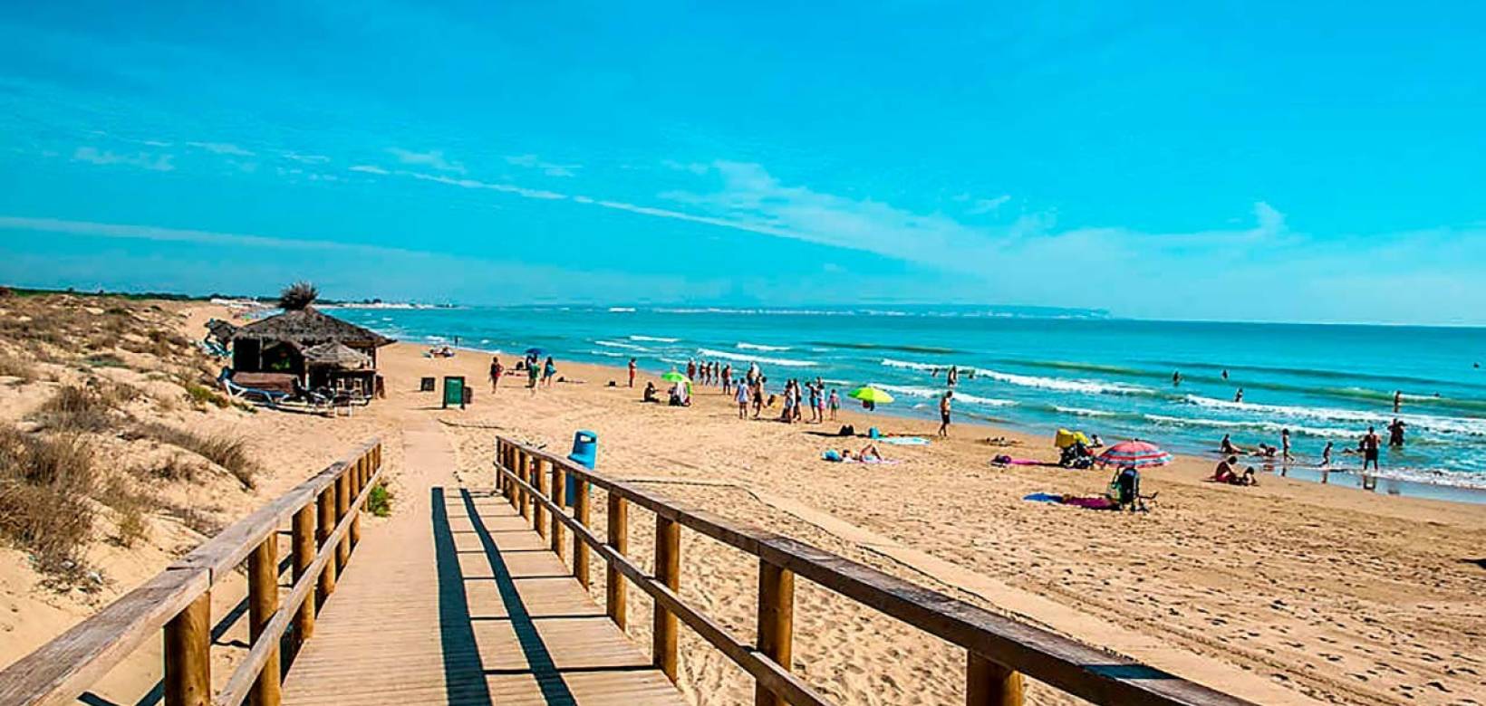 Nowa konstrukcja - miasto - La Marina - El Pinet