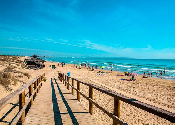 Nowa konstrukcja - miasto - La Marina - El Pinet