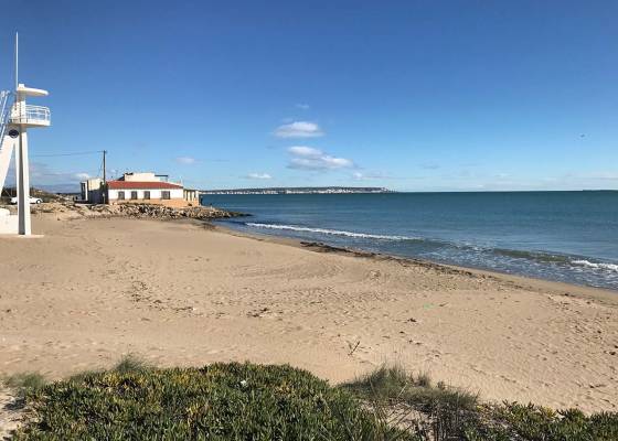 Nowa konstrukcja - miasto - La Marina - El Pinet