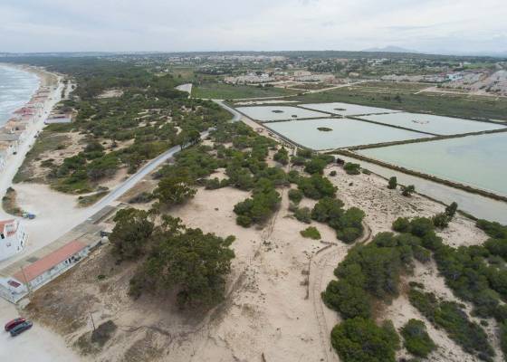 Nowa konstrukcja - miasto - La Marina - El Pinet