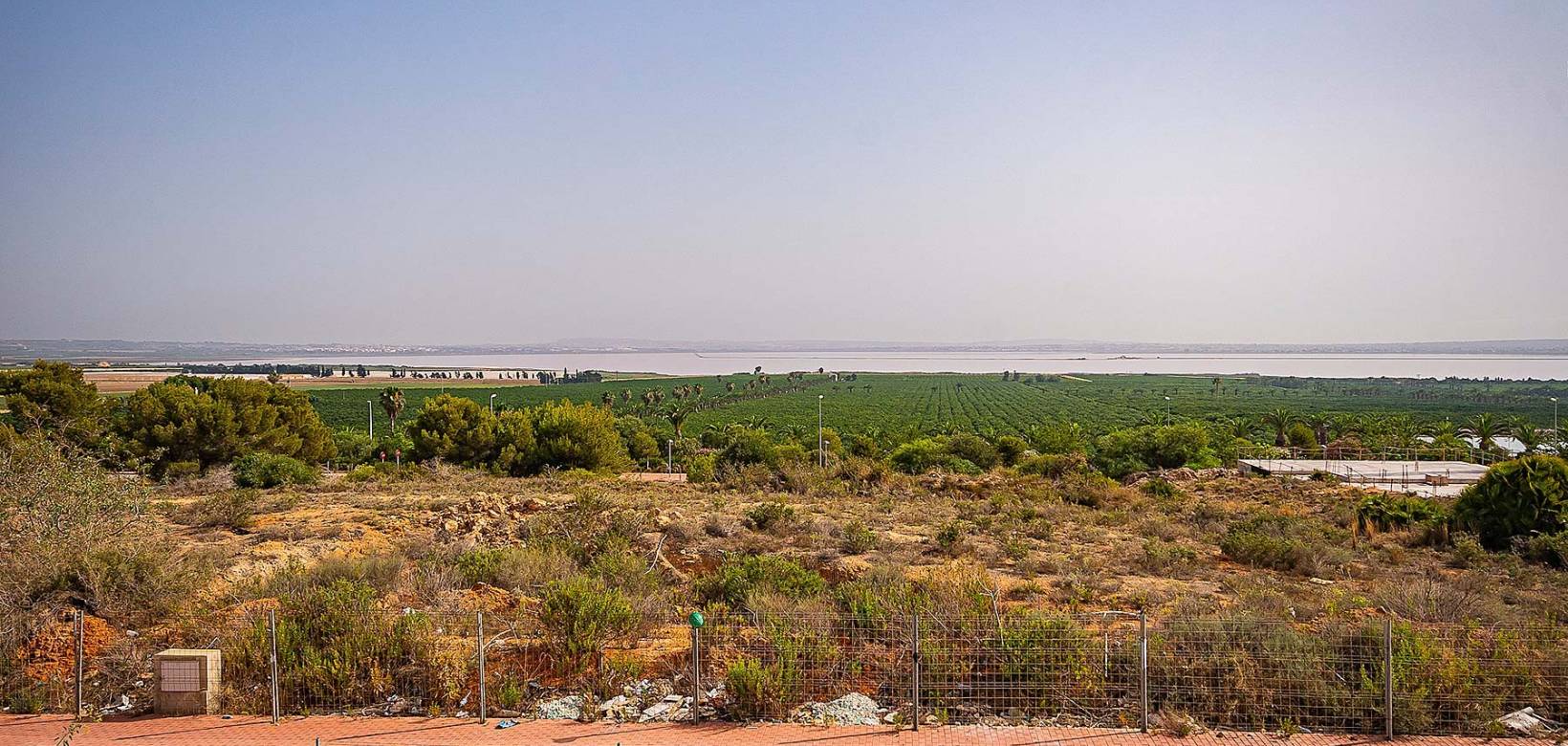 Nybyggnad - Villor - Torrevieja - Lago Jardín II