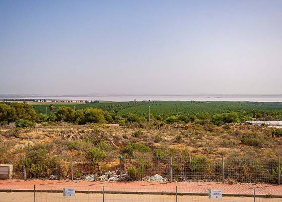 Nybygg - Villa - Torrevieja - Lago Jardín II