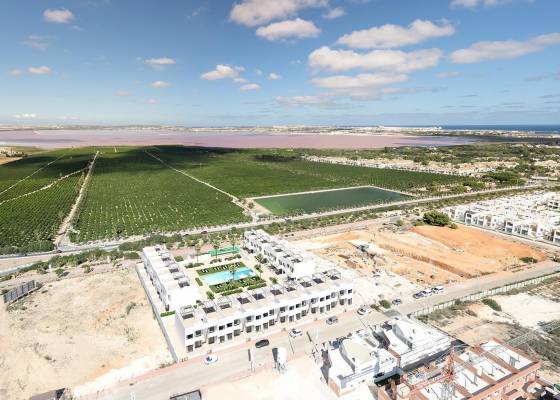 Nueva construcción  - Bungalow - Torrevieja - Lago Jardín II