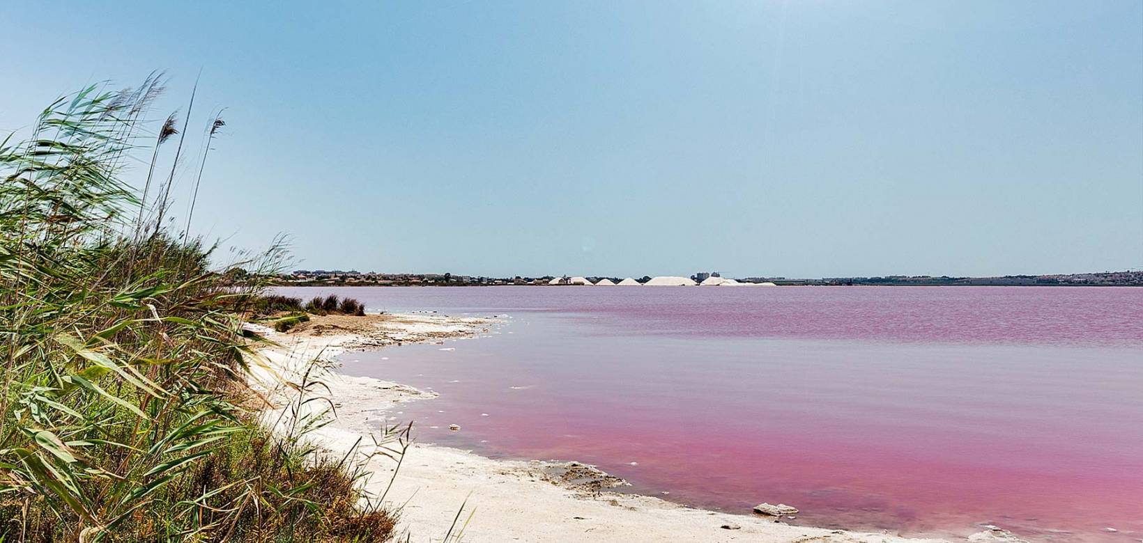 Nybygg - Bungalow - Torrevieja - Lago Jardín II