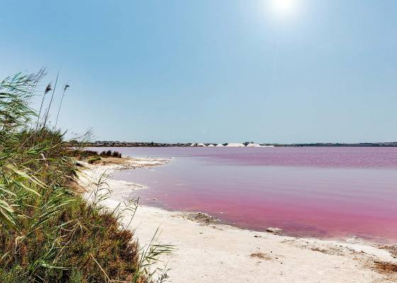 Nybygg - Bungalow - Torrevieja - Lago Jardín II