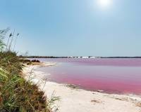 Nybyggnad - Bungalow - Torrevieja - Lago Jardín II