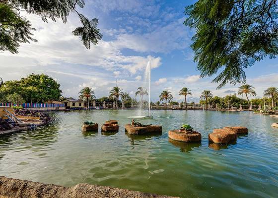 Nybyggnad - Bungalow - Torrevieja - Lago Jardín II