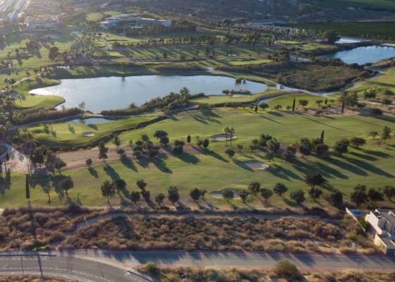 New Build - Вила - Algorfa - La Finca Golf