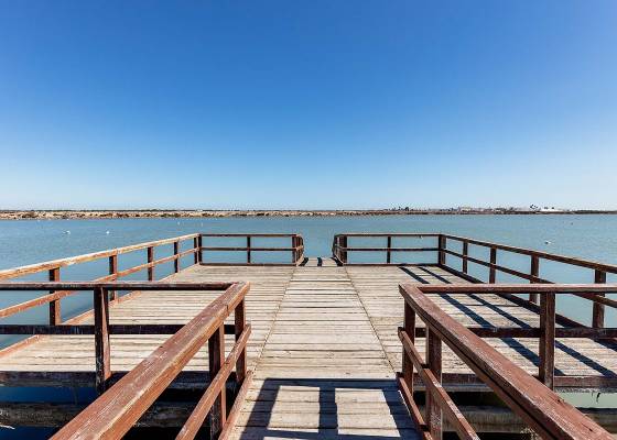 Nouvelle construction - Villa - San Pedro del Pinatar