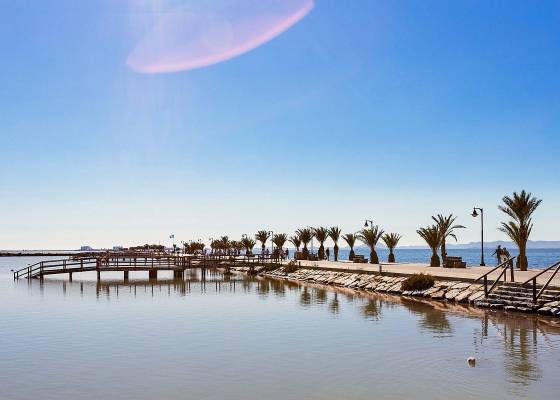 Nouvelle construction - Villa - San Pedro del Pinatar