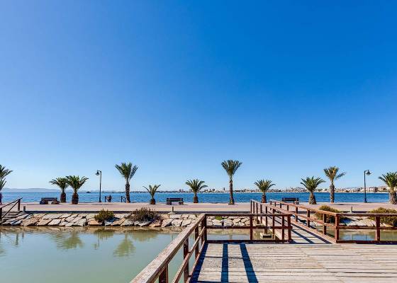 Nouvelle construction - Villa - San Pedro del Pinatar