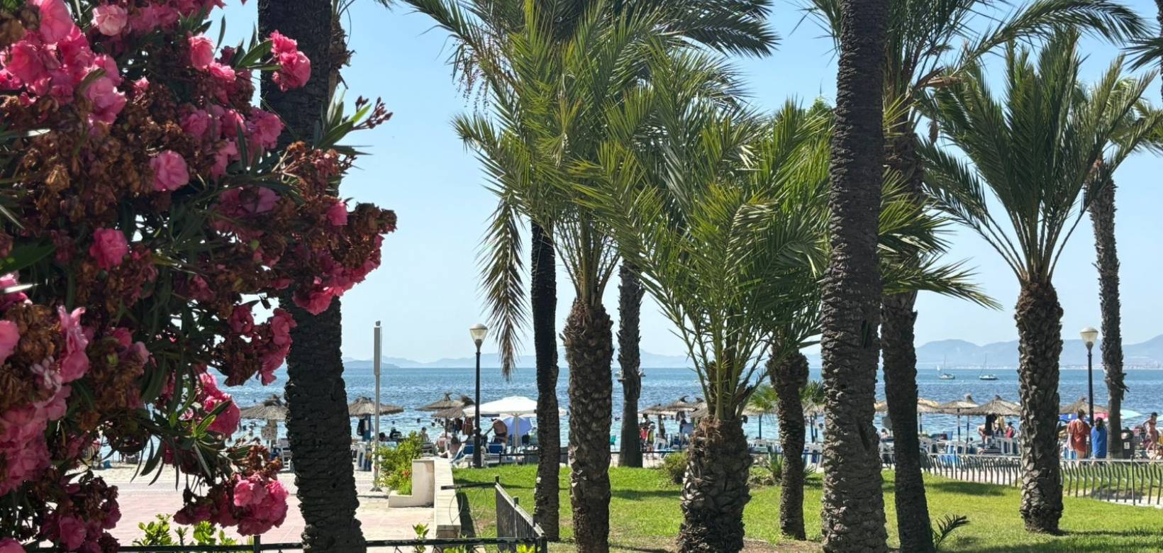 Neubau - Bungalow - Los Alcazares - La Serena Golf