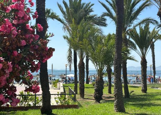 Neubau - Bungalow - Los Alcazares - La Serena Golf
