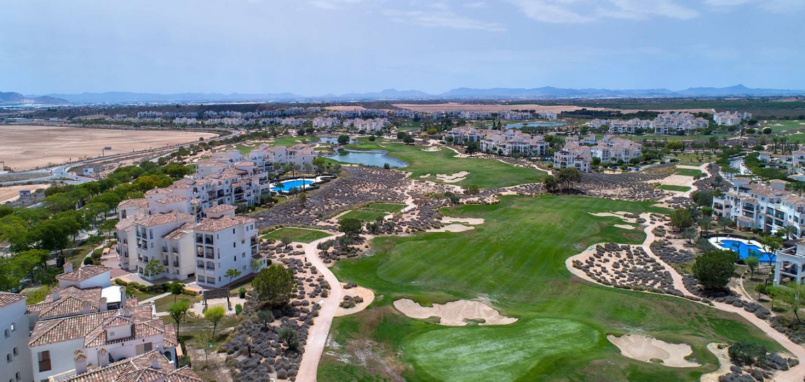 Nybyggnad - Villor - Sucina