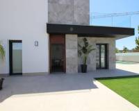 Nieuw gebouw - Villa - Pilar de la Horadada