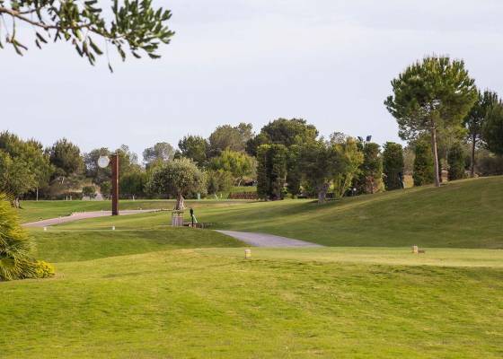 Nowa konstrukcja - Daszek - San Miguel de Salinas - Las Colinas Golf