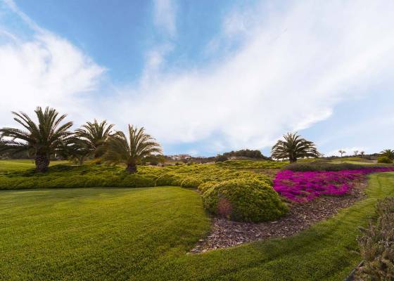 Nieuw gebouw - Villa - San Miguel de Salinas - Las Colinas Golf