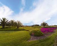 Nieuw gebouw - Villa - San Miguel de Salinas - Las Colinas Golf