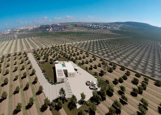 Nieuw gebouw - Villa - Algorfa - La Finca Golf
