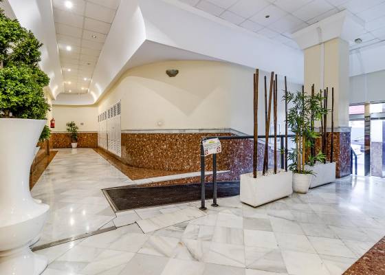 2ª mano - Apartamento - Torrevieja