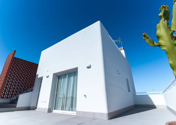 Nouvelle construction - Villa - Pilar de la Horadada