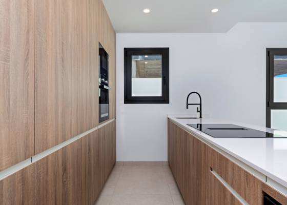 Nouvelle construction - Villa - San Javier