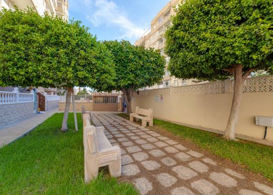 2e hands - Appartement - Torrevieja
