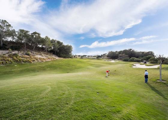 New Build - Villa - San Miguel de Salinas - Las Colinas Golf