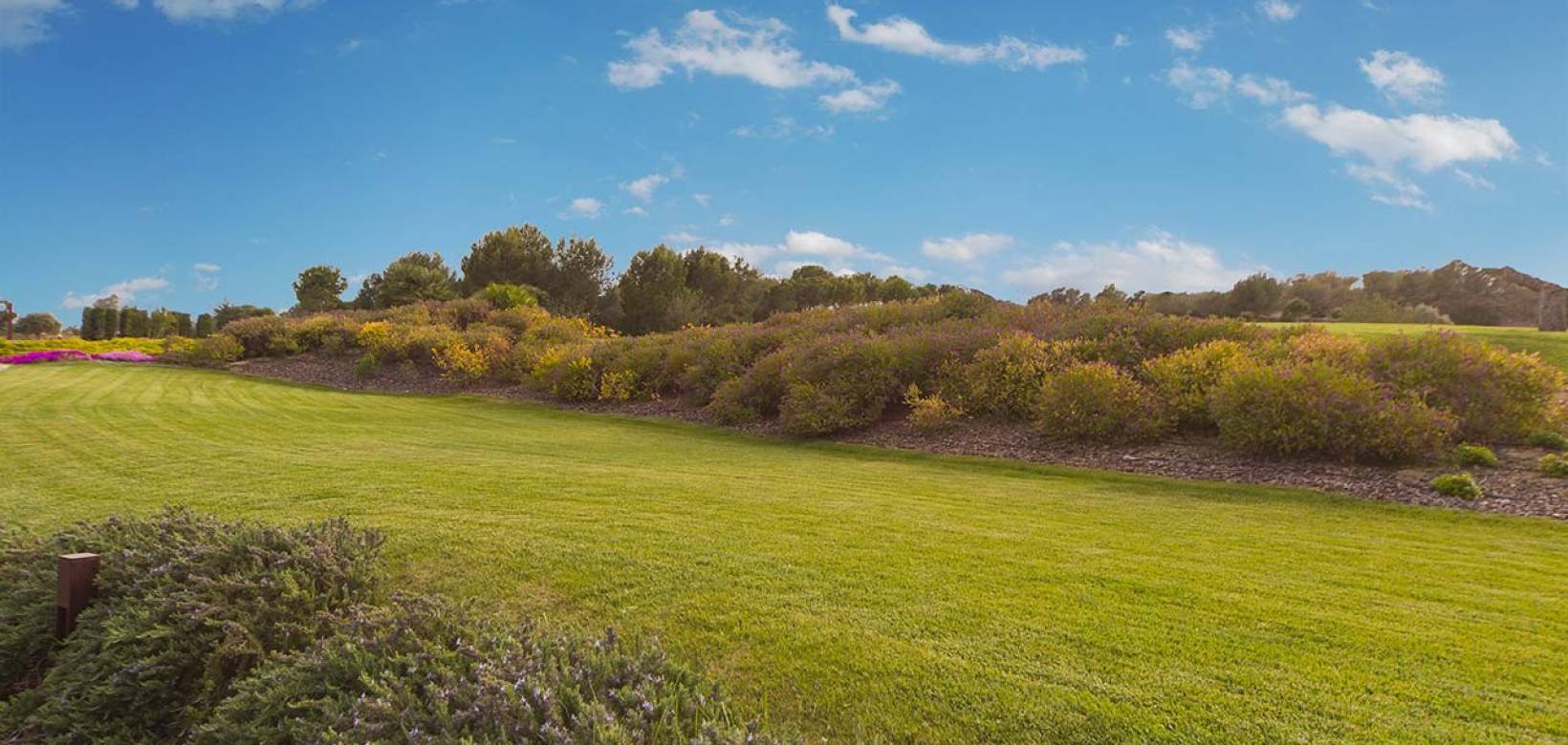 New Build - Villa - San Miguel de Salinas - Las Colinas Golf