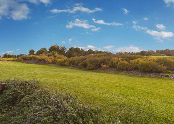 New Build - Villa - San Miguel de Salinas - Las Colinas Golf