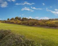 New Build - Villa - San Miguel de Salinas - Las Colinas Golf